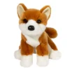Flash Sale Aki Shiba Inu Dogs