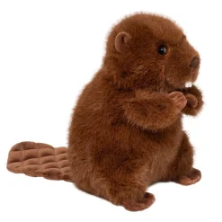 Best Bev Beaver Wildlife