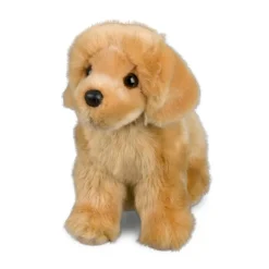 Cheap Chap Golden Retriever Dogs
