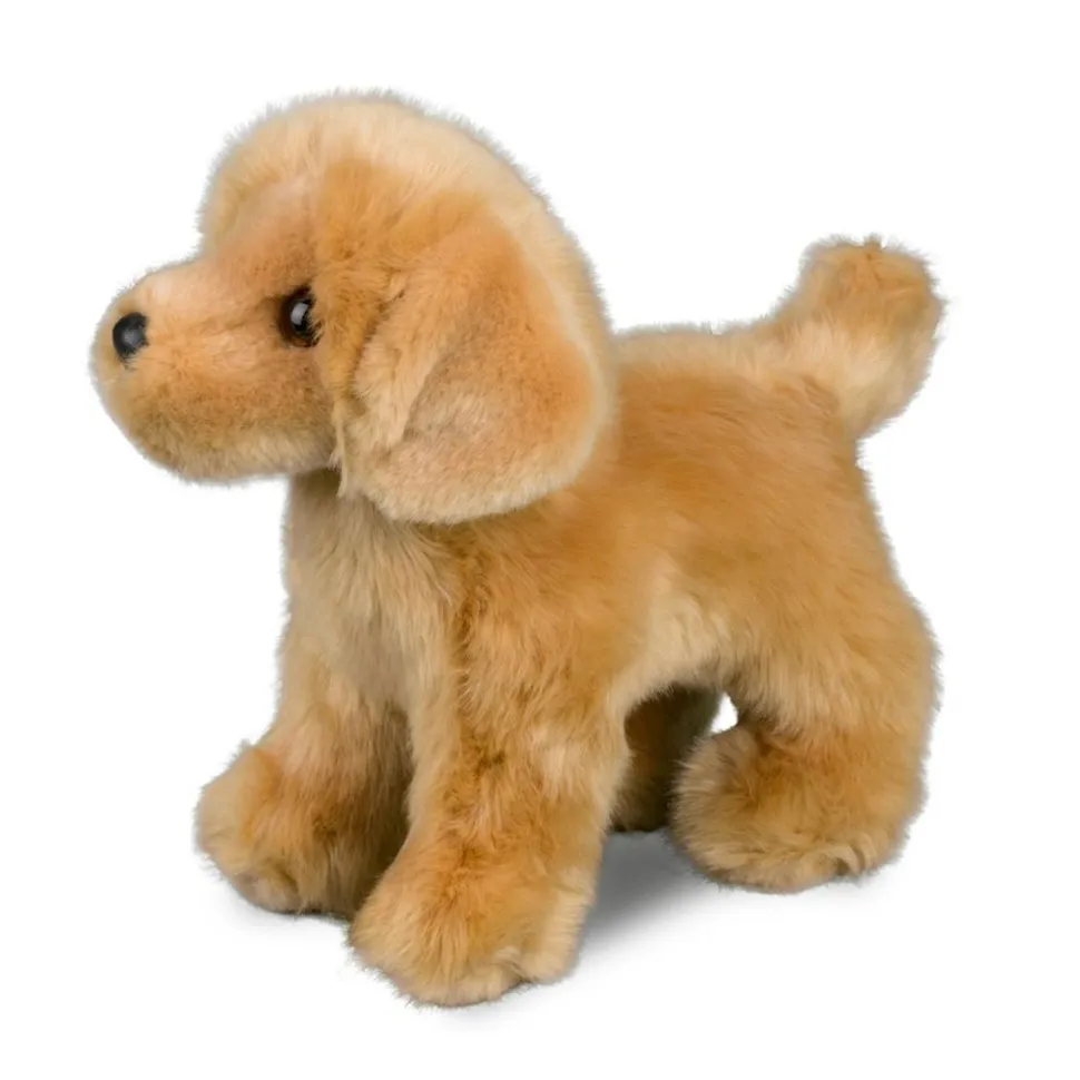 Cheap Chap Golden Retriever Dogs