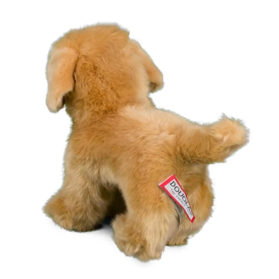 Cheap Chap Golden Retriever Dogs