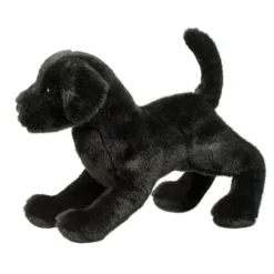 New Chester Black Lab Dogs