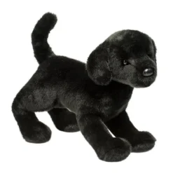 New Chester Black Lab Dogs