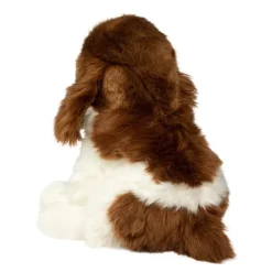 Sale Chip Springer Spaniel Dogs