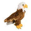 Best Colbert Eagle Wildlife