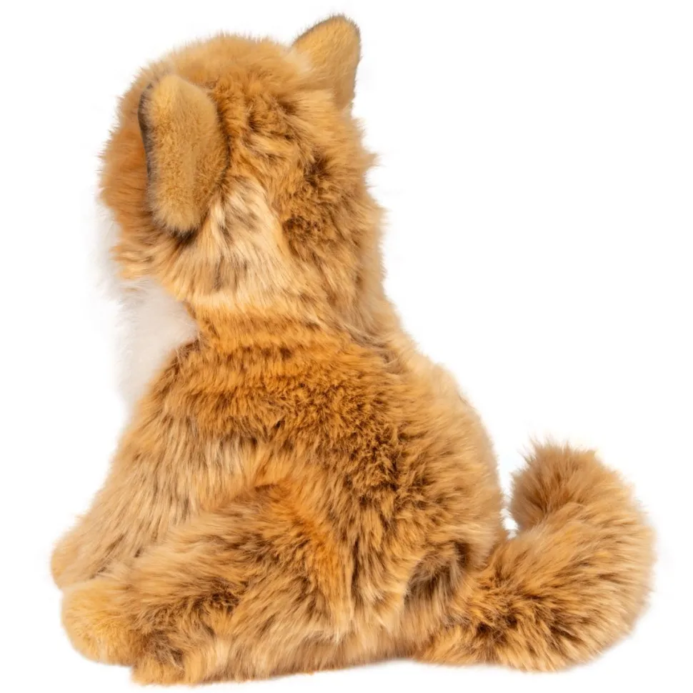 New Dove Pomsky Dogs