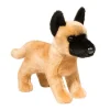 Fashion Klaus Belgian Malinois Dogs