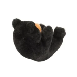 Flash Sale Lil' Baby Black Bear Wildlife