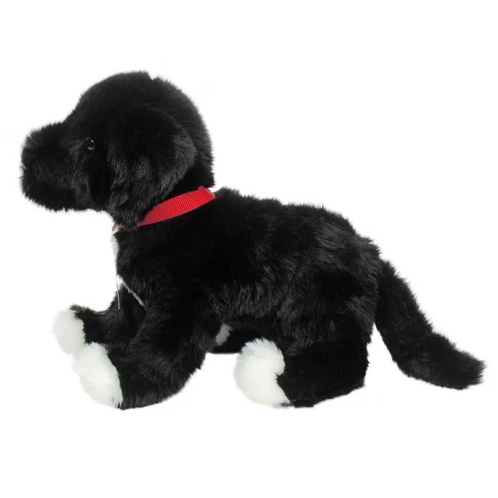 Outlet Olive Black Lab / Pit Bull Mix Rescue Pup Dogs