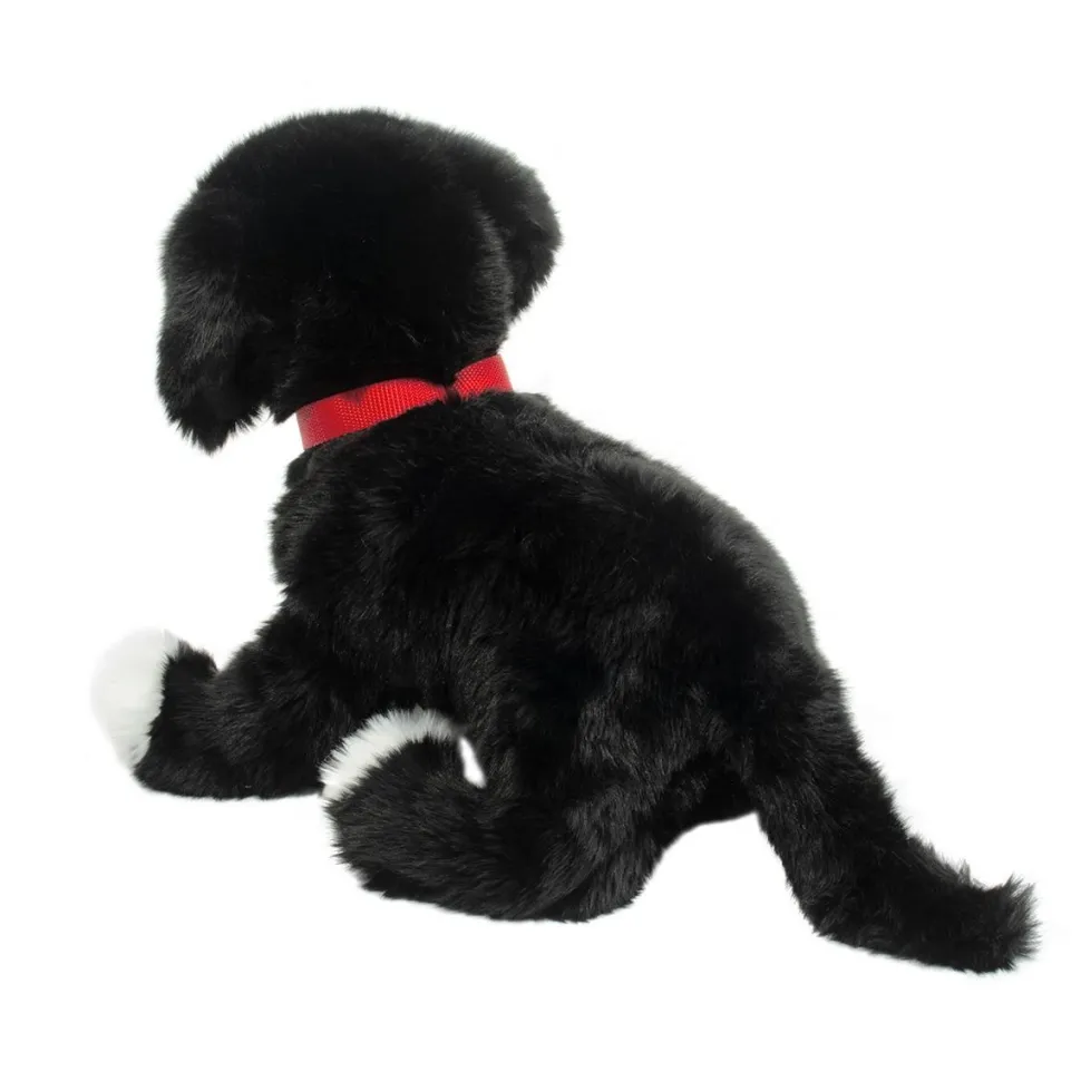 Outlet Olive Black Lab / Pit Bull Mix Rescue Pup Dogs