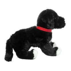 Outlet Olive Black Lab / Pit Bull Mix Rescue Pup Dogs