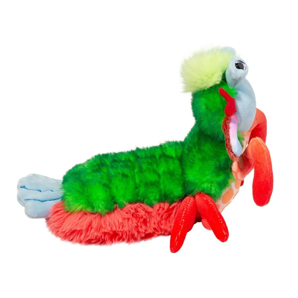 Cheap Punchie Peacock Mantis Shrimp Sea Life