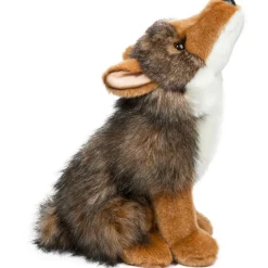 Clearance Rambler Coyote Wildlife