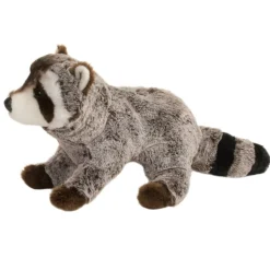 New Ringo Raccoon Wildlife