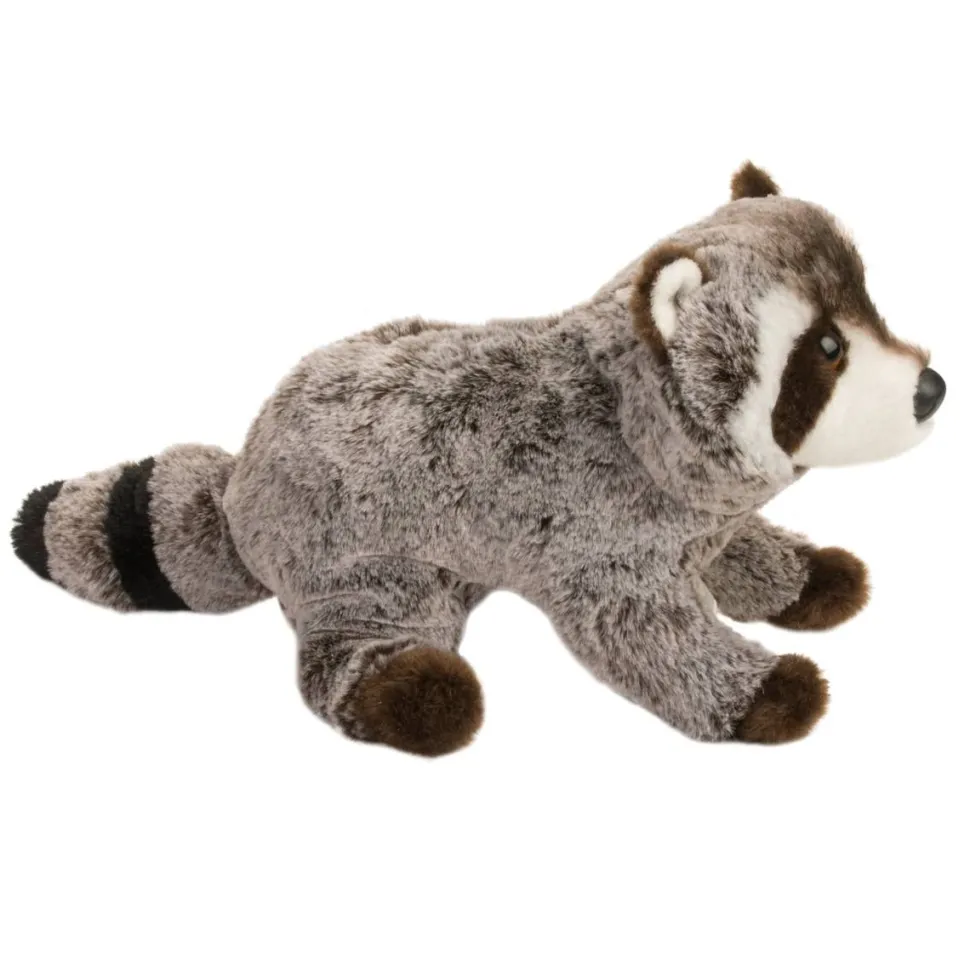 New Ringo Raccoon Wildlife