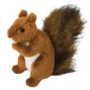 Hot Roadie Red Squirrel Wildlife