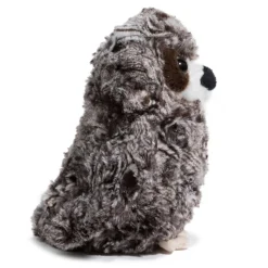 Outlet Shrill Saw-Whet Owl Wildlife