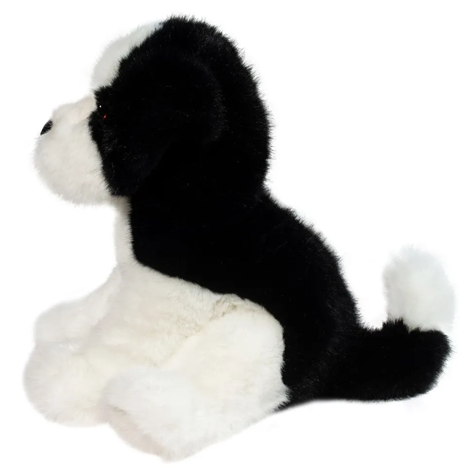 Shop Teefer Shih Tzu Dogs