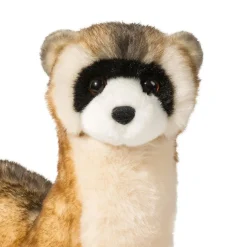 Best Sale Vince Black Footed Ferret Wildlife