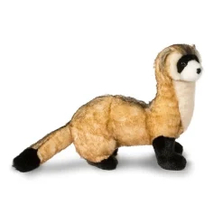 Best Sale Vince Black Footed Ferret Wildlife