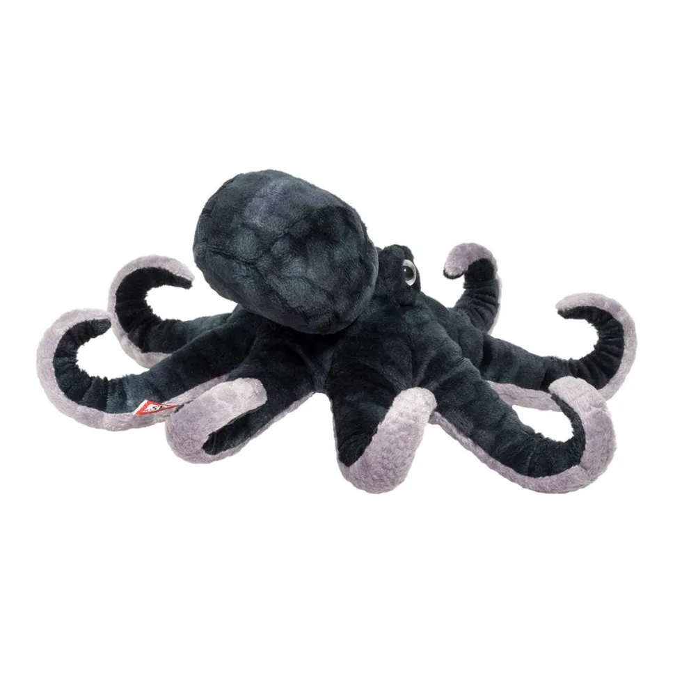 Cheap Winky Octopus Sea Life