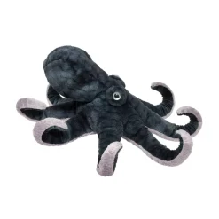 Cheap Winky Octopus Sea Life