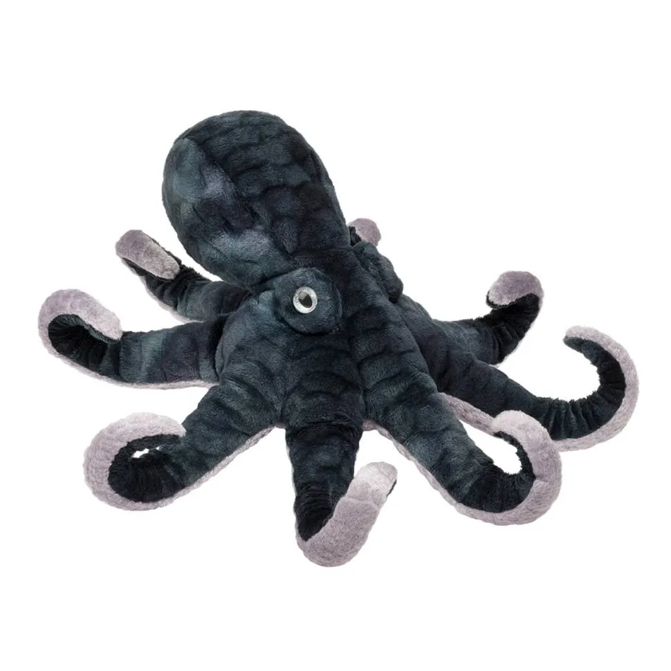 Cheap Winky Octopus Sea Life