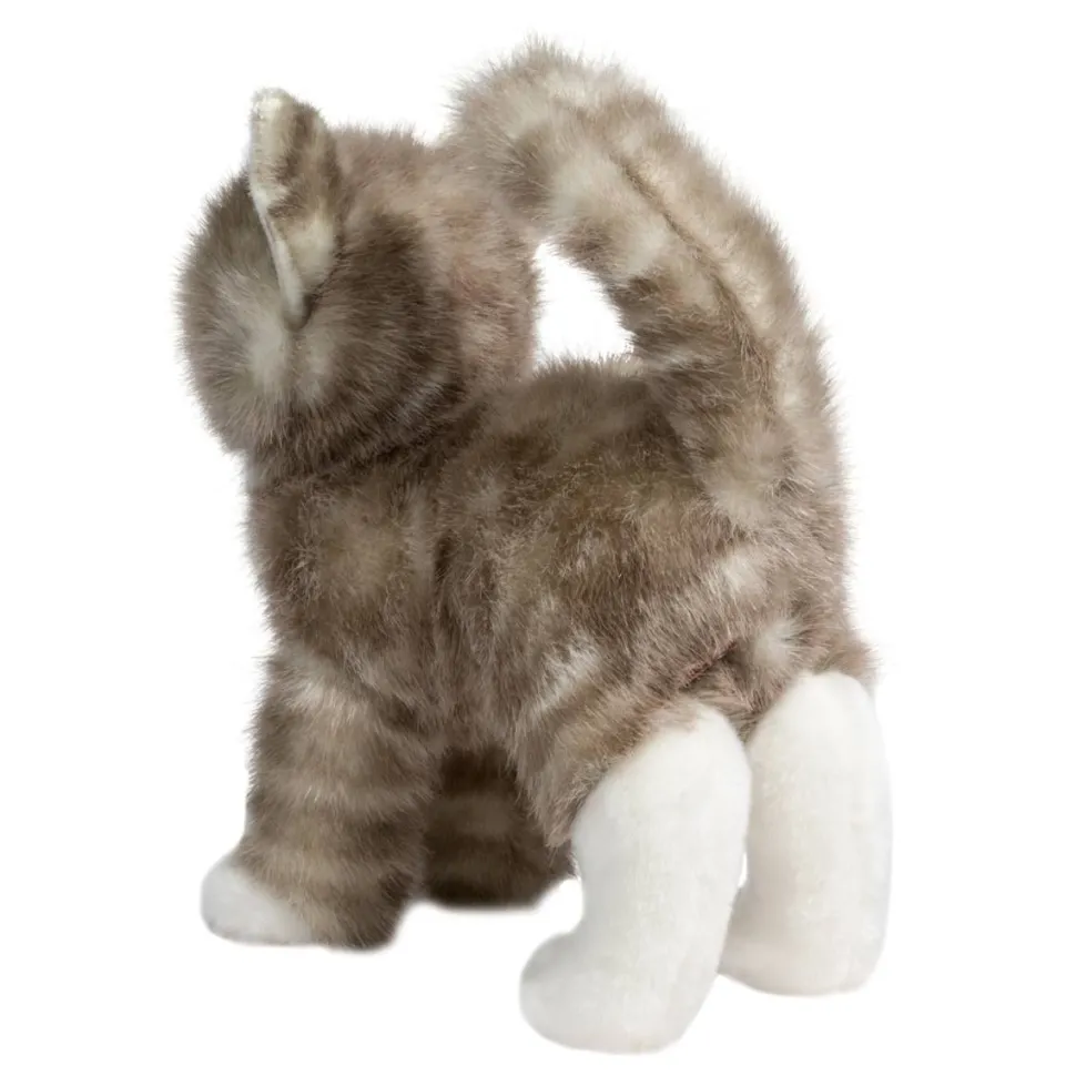 Sale Zipper Gray Tabby Cat Cats